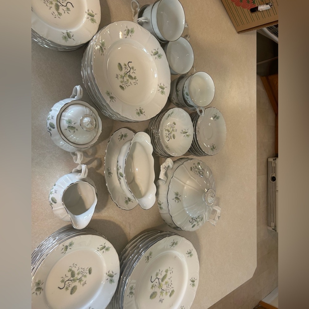 Vintage Bogemian Fine China